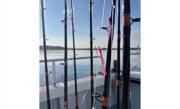 Rods